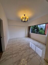 The Cairnhill (D9), Condominium #619024771
